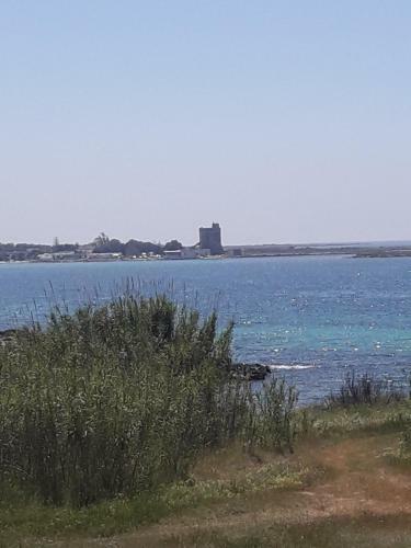 Stella Marina