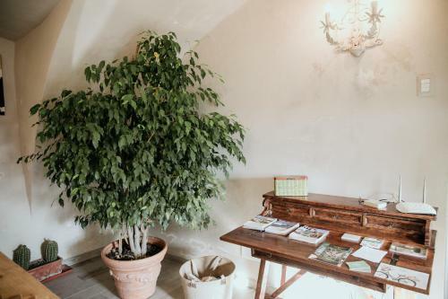 Bed & Breakfast Guest House Al Devesio