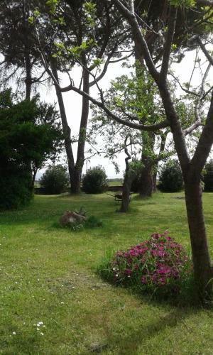 Hostal B&B Il Limone