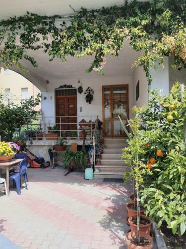 Hostal B&B Romagna