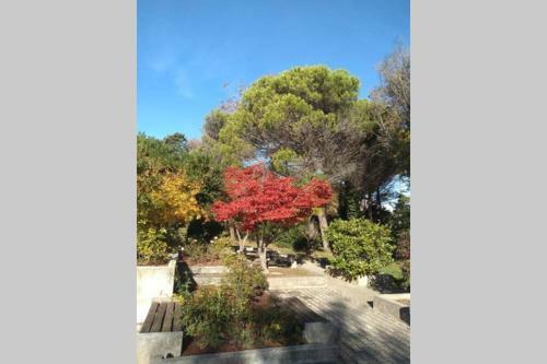Apartamento Venus Appartement Grado