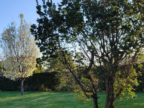 B&B Villa Letizia