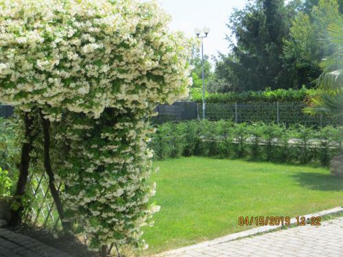 Bed & Breakfast 5 Palme