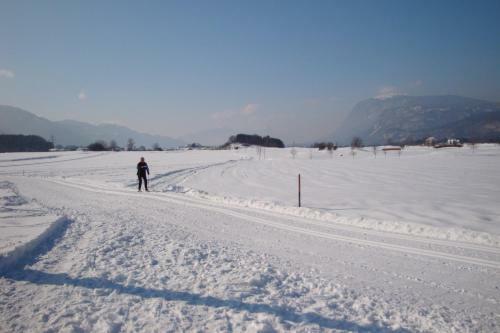 Hostal Gasthof Feichter