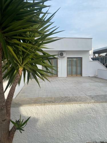 Villa Lady
