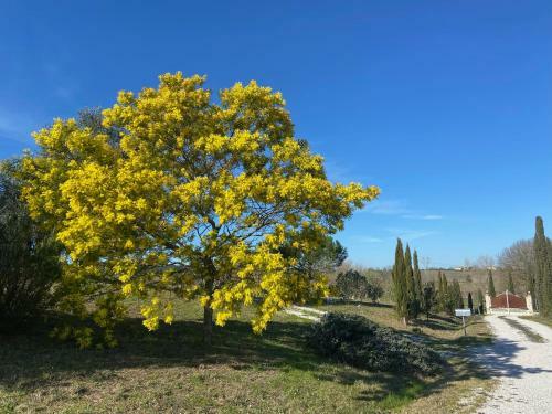 Bed And Breakfast Casale Del Sole