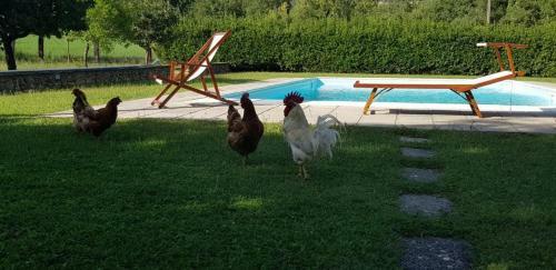 La Bandita