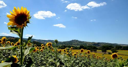 Agroturismo La Finestra Sul Doglio