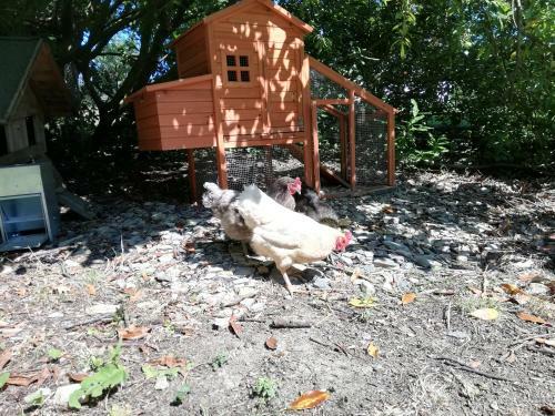 Bed & Breakfast Domaine Abartiague