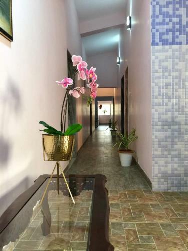 Hostal Triple J Inn