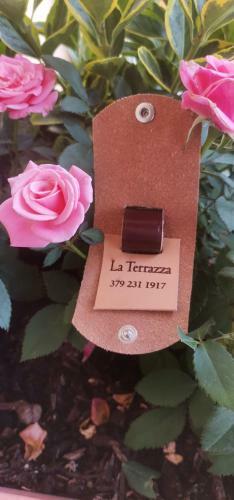 B&B La Terrazza