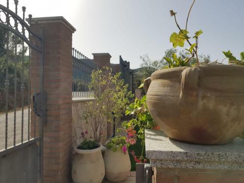 "la Pavoncella" Chia - Domus de Maria