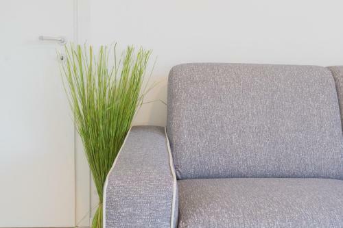 Acqua Chiara Apartment By Rent All Como