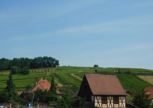 Apartamento Gewurztraminer - Joli Studio Au Pied Du Vignoble