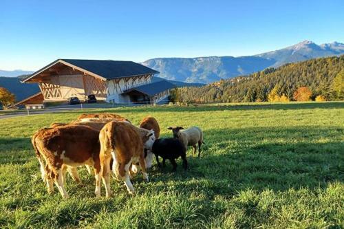 Haughof Apartement Blumenwiese