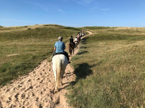Belles Vacances En Bord de Mer Dans Camping 4 Etoiles