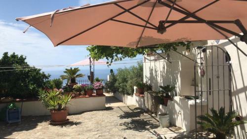 Il Paradiso Di Giacomo