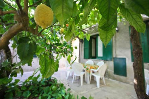Apartamento Leo Appartamenti Con Vista Panoramica