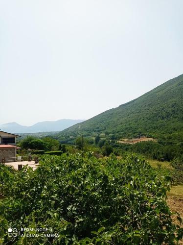 Bed & Breakfast La Carrozza Sul Titerno