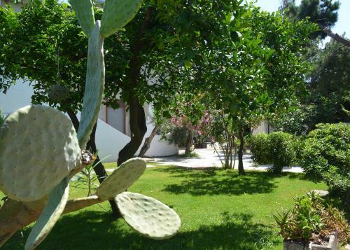 Apartamento Appartamenti La Baia Del Ra�s