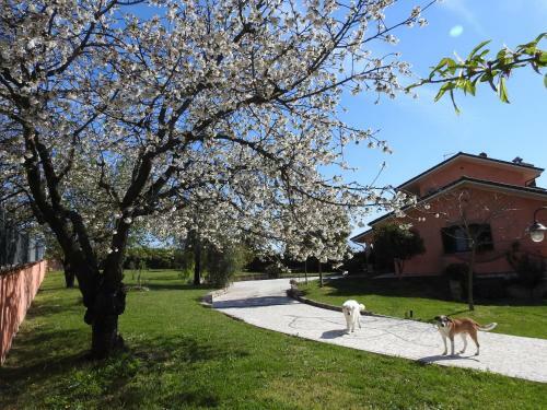 Apartamento Alloggio Turistico Confortevole Passo Corese