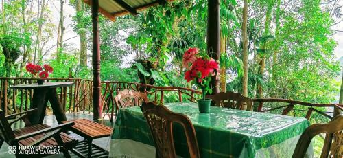 Bed & Breakfast Dulmini Homestay