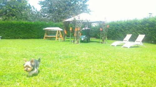 Apartamento Appartamenti Dolomiti