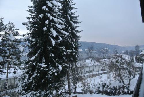 Chalet Luis