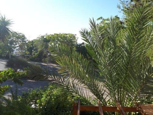 Apartamento Oded Inviting Housing