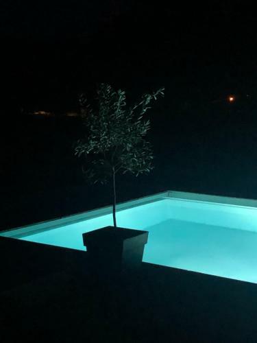 Bed & Breakfast Domaine Mas Terra