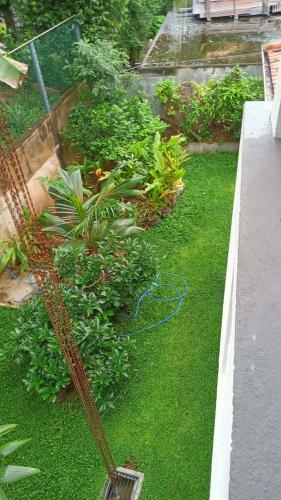 Apartamento A Luxury House In Galle Srilanka
