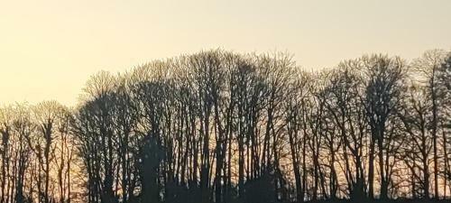 Bed & Breakfast Le Prieur� de L'oiseli�re