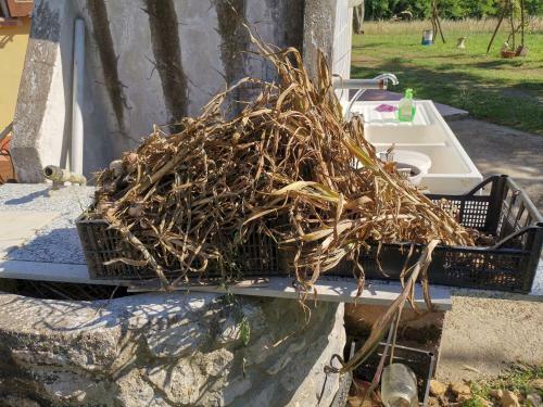 Bed & Breakfast Masseria Le Querciole