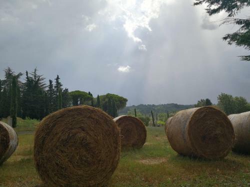Bed & Breakfast Masseria Le Querciole