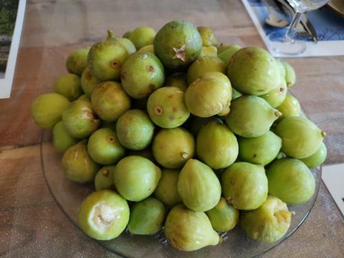 Bed & Breakfast Masseria Le Querciole