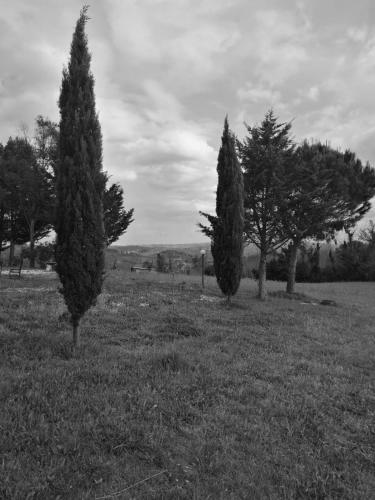 Bed & Breakfast Masseria Le Querciole