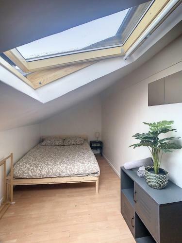Apartamento Studio Cosy Centre Ville Tout Confort Wifi