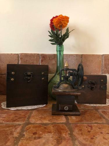 Apartamento Palazzo Costantini Ludovica Home