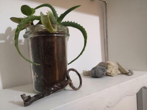 Apartamento Dimora Adoa