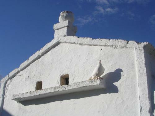 Bed & Breakfast Masseria Purgatorio