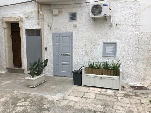 Apartamento Madonna Delle Grazie Vicolo 41
