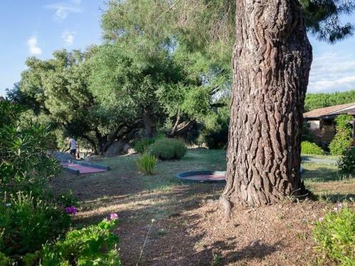 R�sidence Alba Rossa, Serra-di-ferro, Accommodation With Terrace Or Balcony