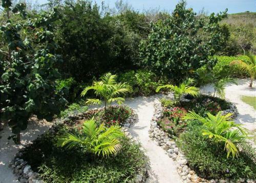 Margherita House By Eleuthera Vacation Rentals