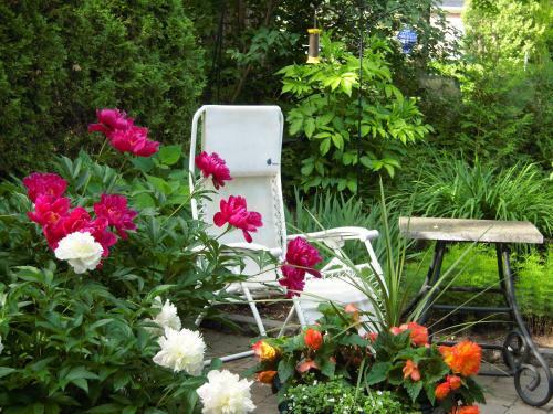 Bed & Breakfast L'arvidienne Couette Et Caf�