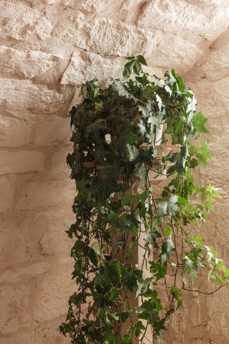 Apartamento Wonderful Masseria Near Ostuni