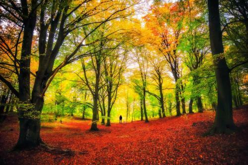 B&B Borgo Del Fornello