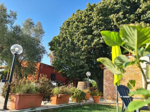 Hostal Il Colle Degli Ulivi