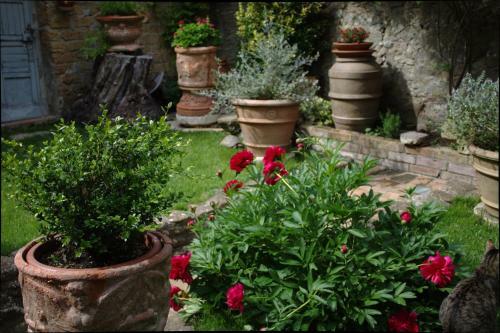 Bed & Breakfast Palazzo Palesa