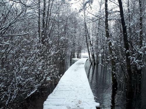 Apartamento Logement Familial Proche Du Lac de Longemer