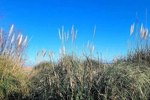 Apartamento L'original, Superbe Appartement � 5min de La Plage